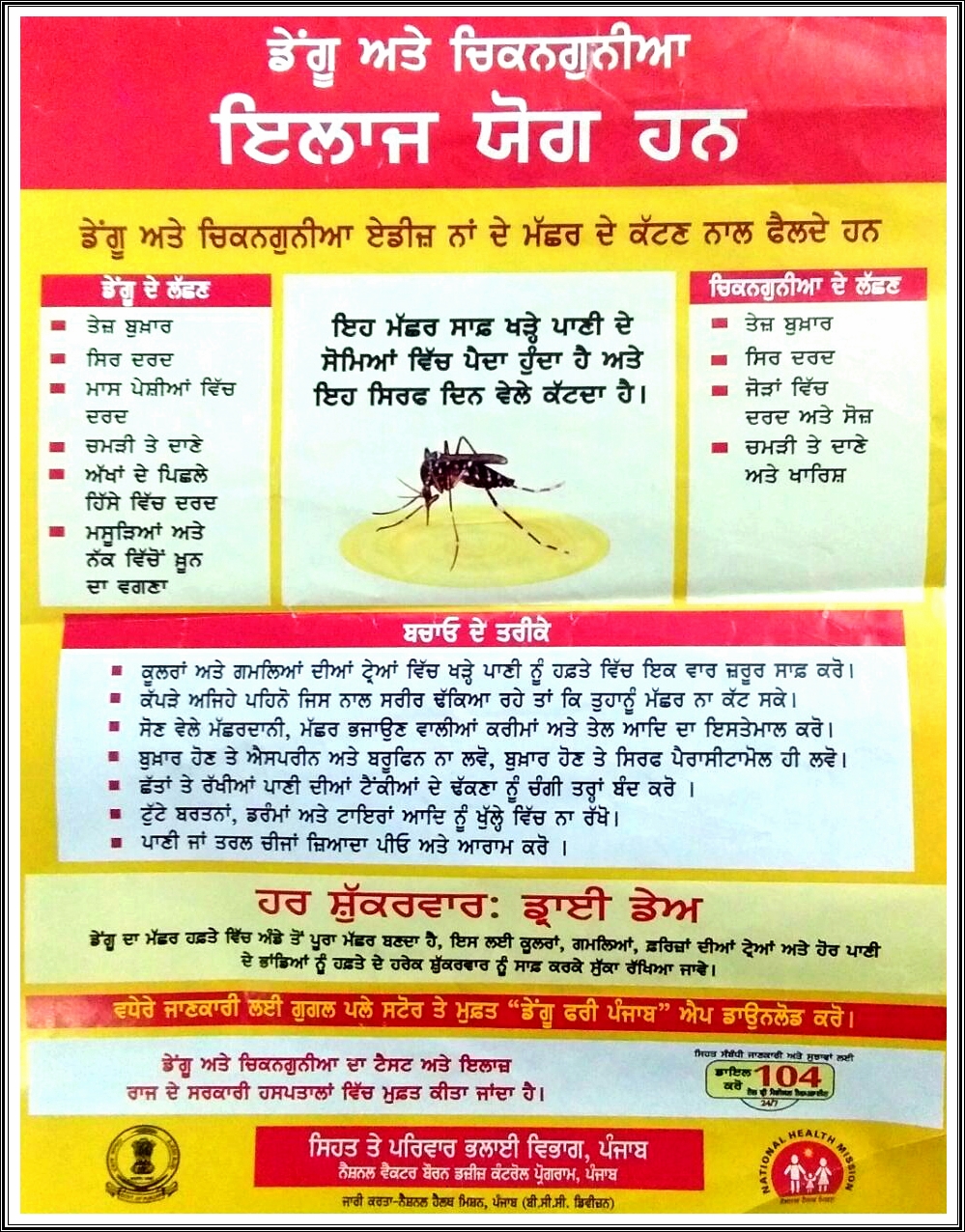 Dengue Poster1